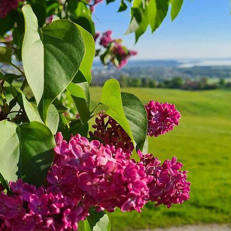 베르나우암히엠지 Schleipfnerhof Urlaub Auf Dem Bauernhof 빌라 외부 사진
